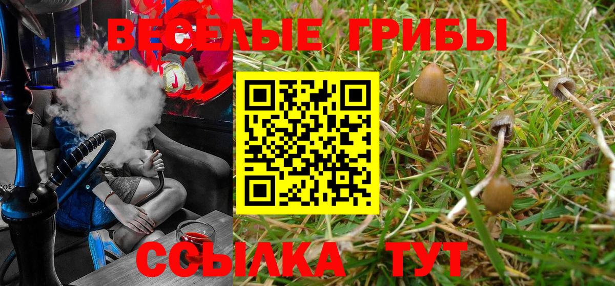Псилоцибиновые грибы Psilocybine cubensis  купить наркотик  Можга  Вход с VPN 