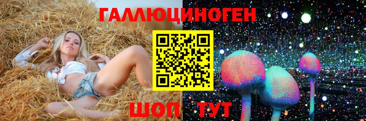 Псилоцибиновые грибы Cubensis Можга